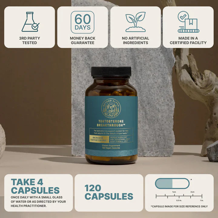 The Dream Body Stack™